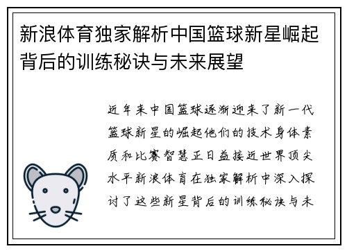 新浪体育独家解析中国篮球新星崛起背后的训练秘诀与未来展望 新浪体育独家解析中国篮球新星崛起背后的训练秘诀与未来展望